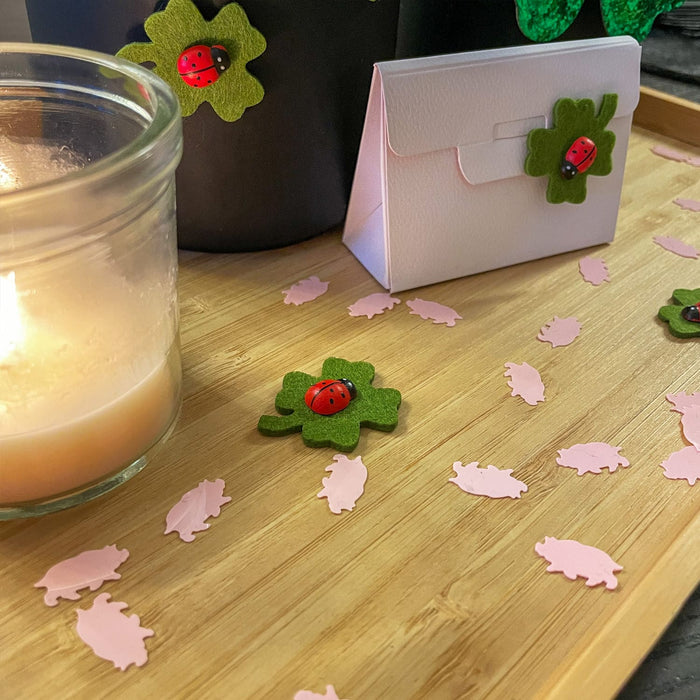 Marienkäfer + Kleeblatt Deko Set Konfetti Geburtstag Silvester Feier Party Glück Streu Geschenk Deko